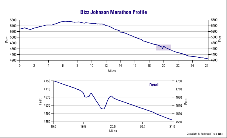 Bizz Johnson photo 6