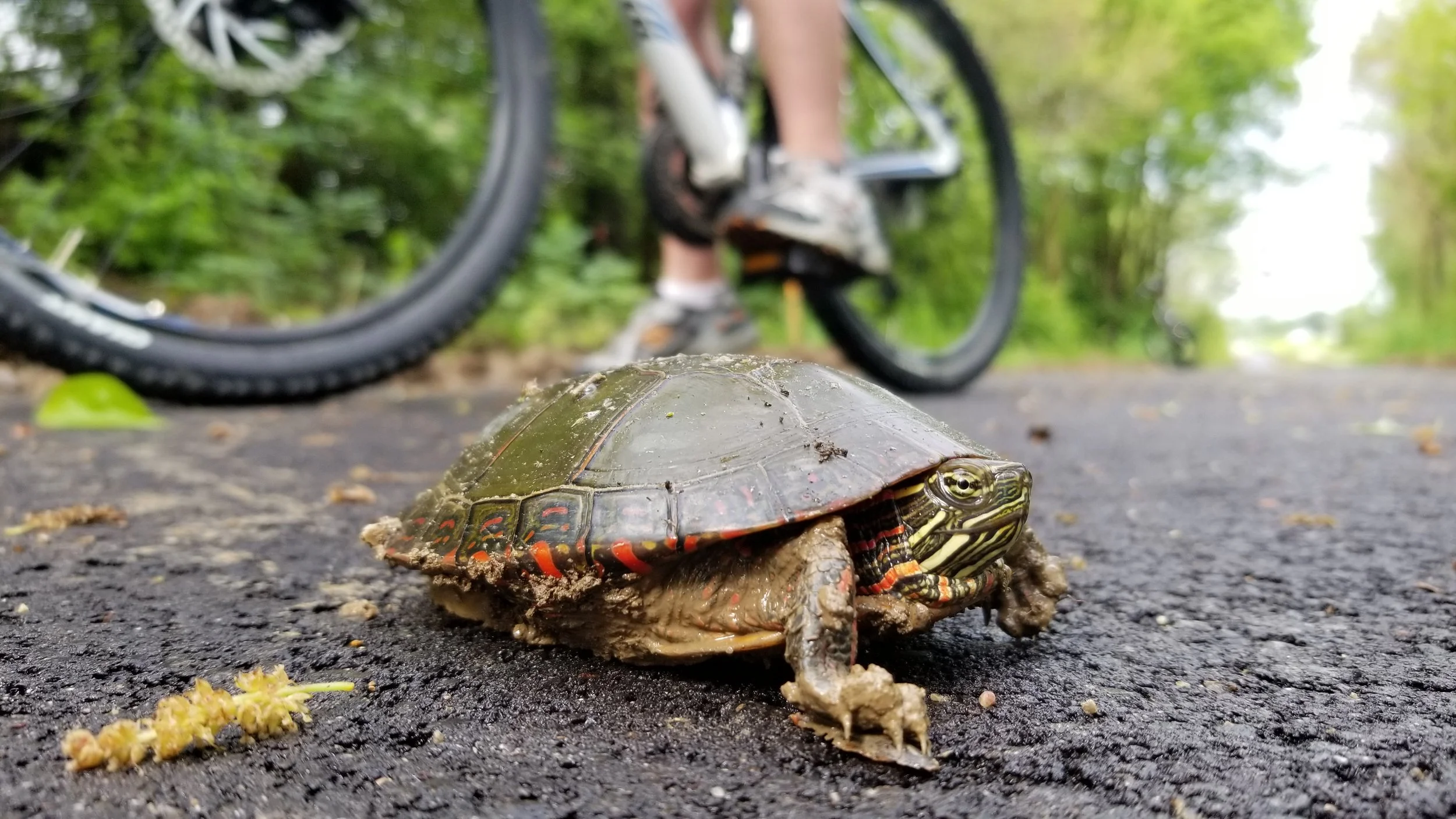 Tour de Darke photo 3