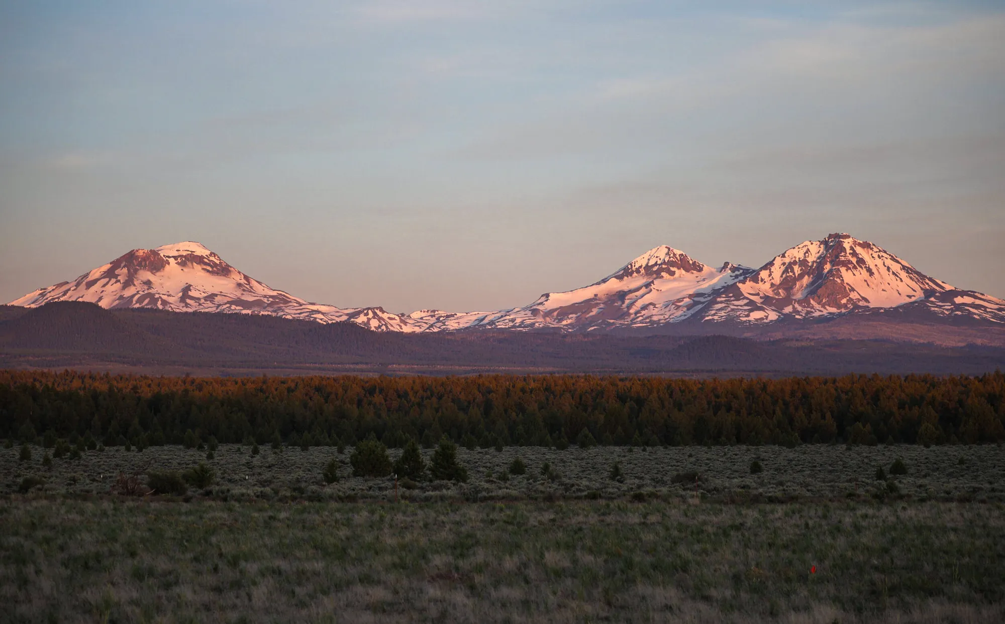 Dirty Half Marathon photo 8