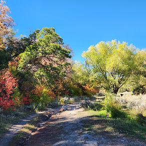 Traverse Mountain Half Marathon photo 8