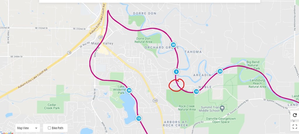 Pigtails Run photo 3