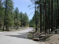 23nd Annual Groom Creek Classic: 1/2 Marathon, 10k, 5k Run photo 4