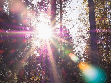 Lake Placid Classic Half Marathon, 10K & 5K photo 3