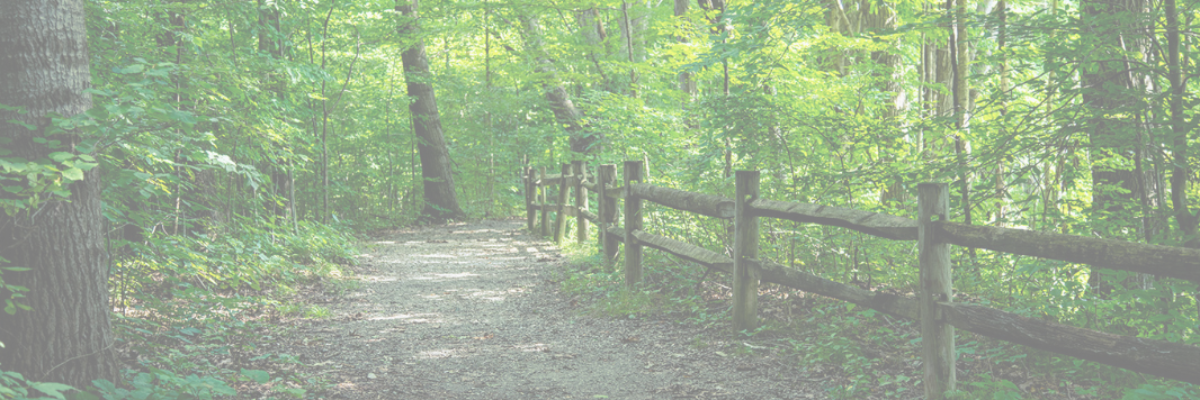 Run Happy 50K (and other happy distances) photo 1