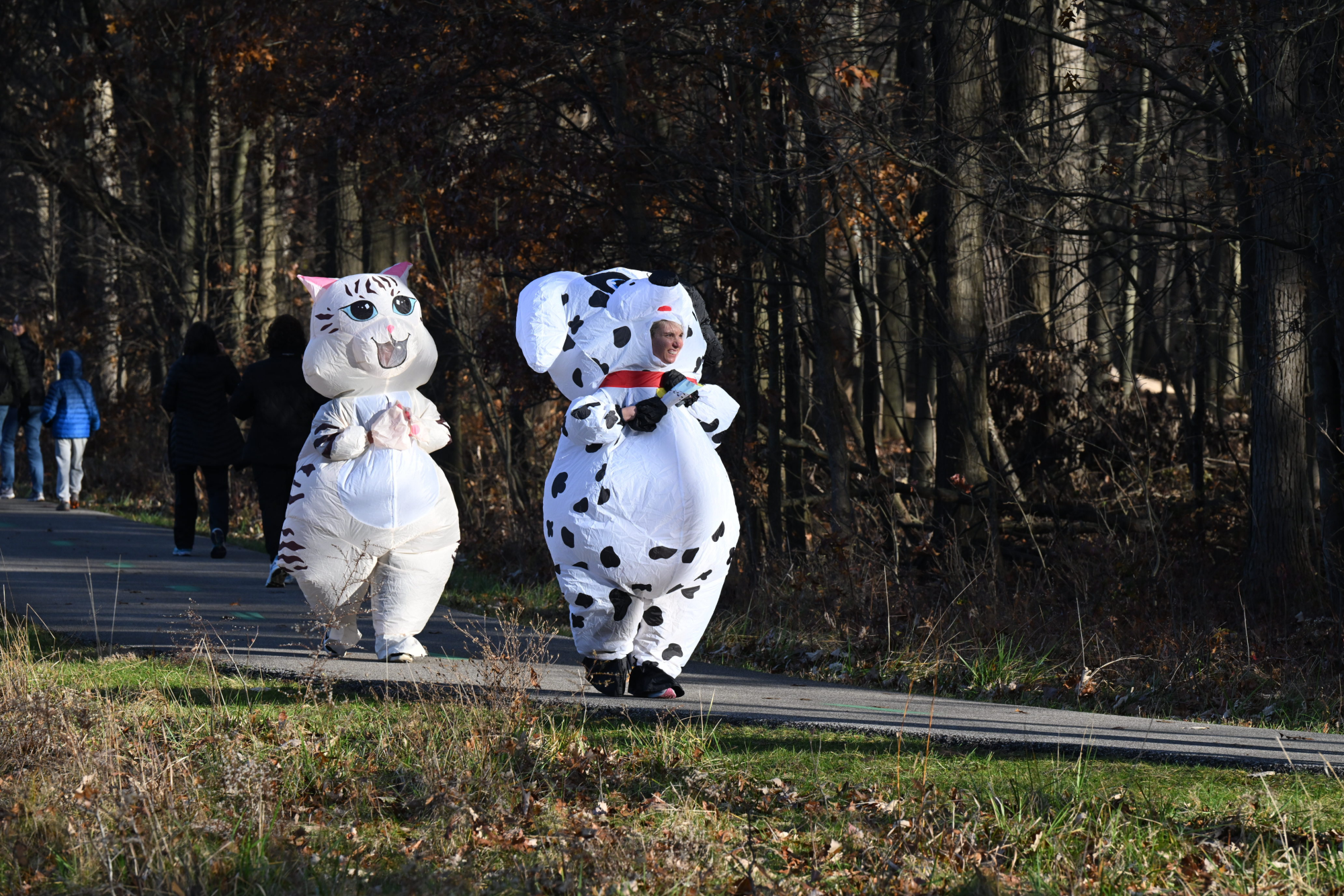 Fall Classic photo 4