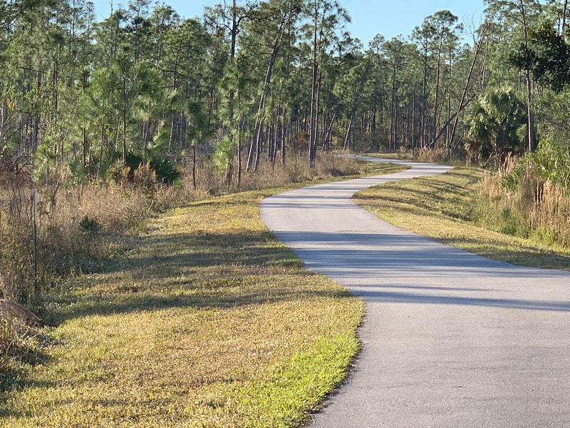 Naples Paradise Coast Half Marathon photo 1