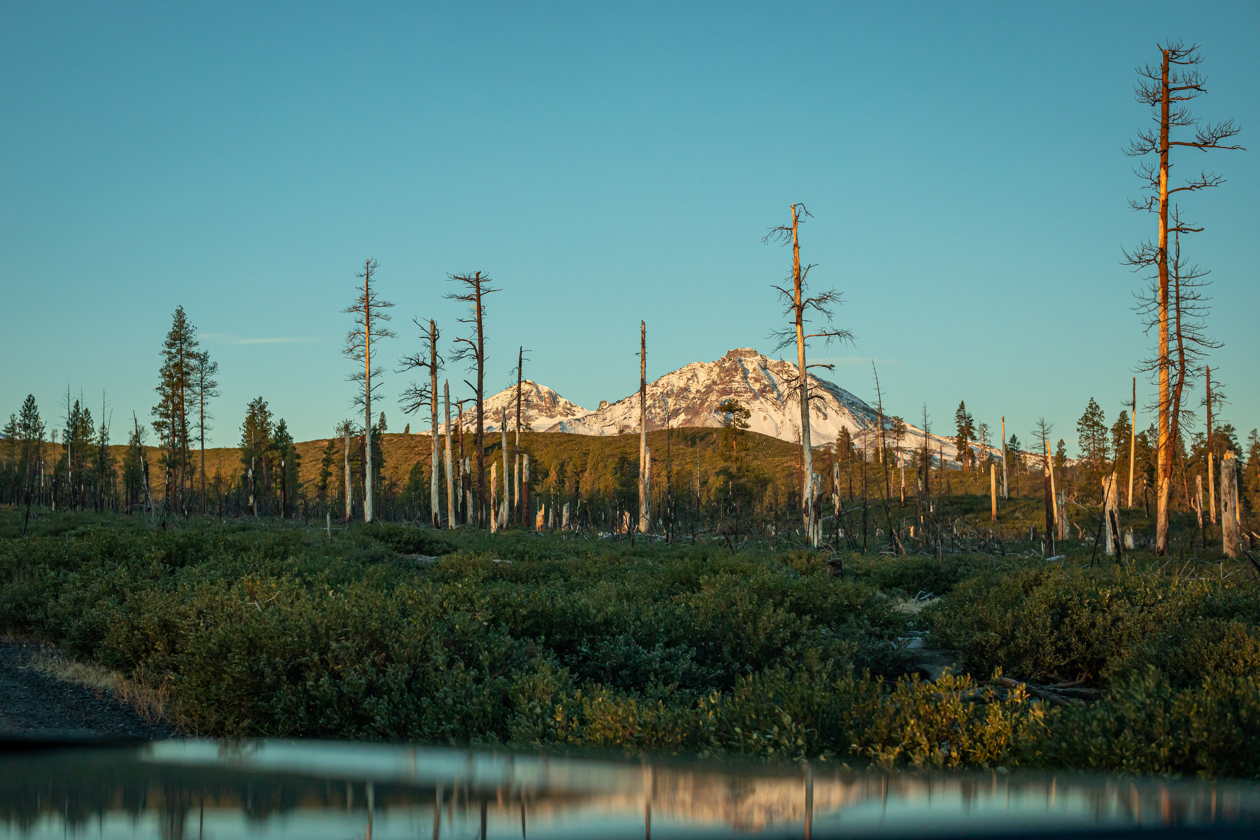 Alpine Solstice photo 6