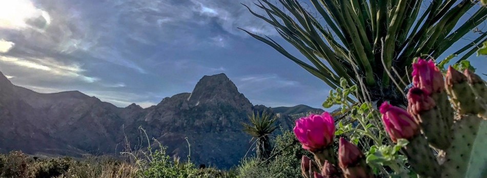 Red Rock Canyon Marathon, 1/2, and 5K photo 8