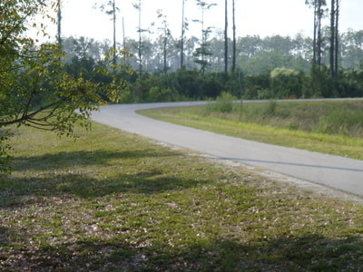 Naples Distance Classic photo 5