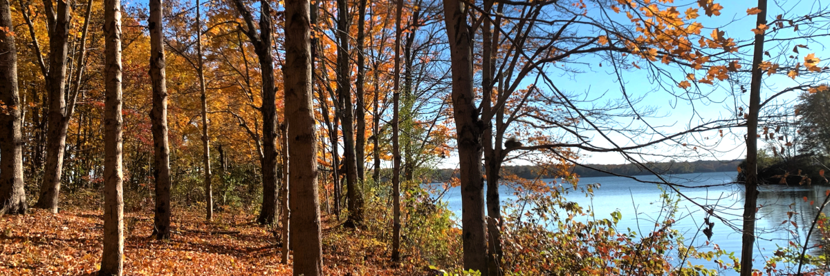 Autumn Squatch 10K, 20K & 50K photo 1