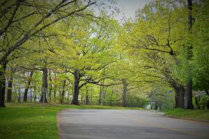 Fleet Feet Rochester Half Marathon | 5K | Kids 1/2 Mile photo 8