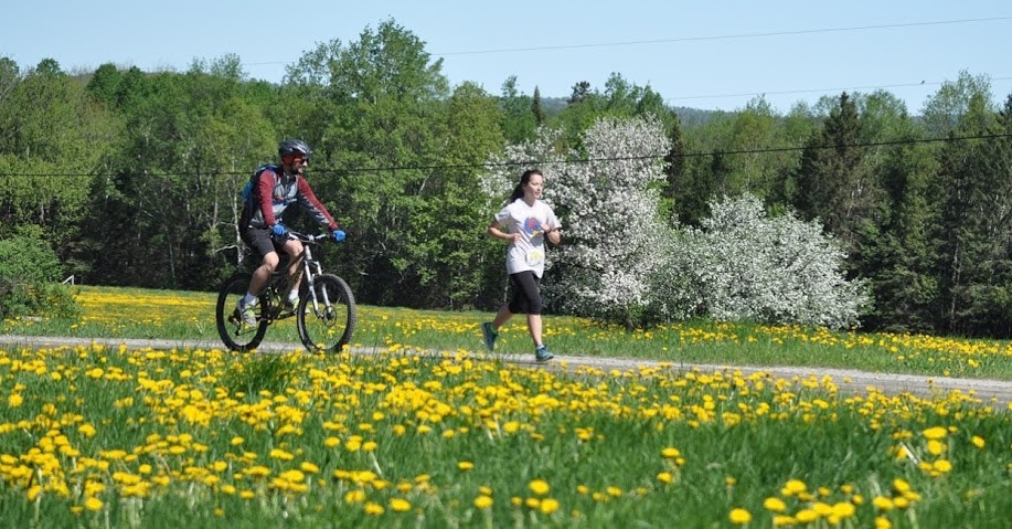 Dandelion Run photo 1
