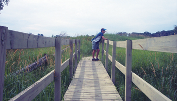 Taste of Portage Half Marathon and 5K photo 6