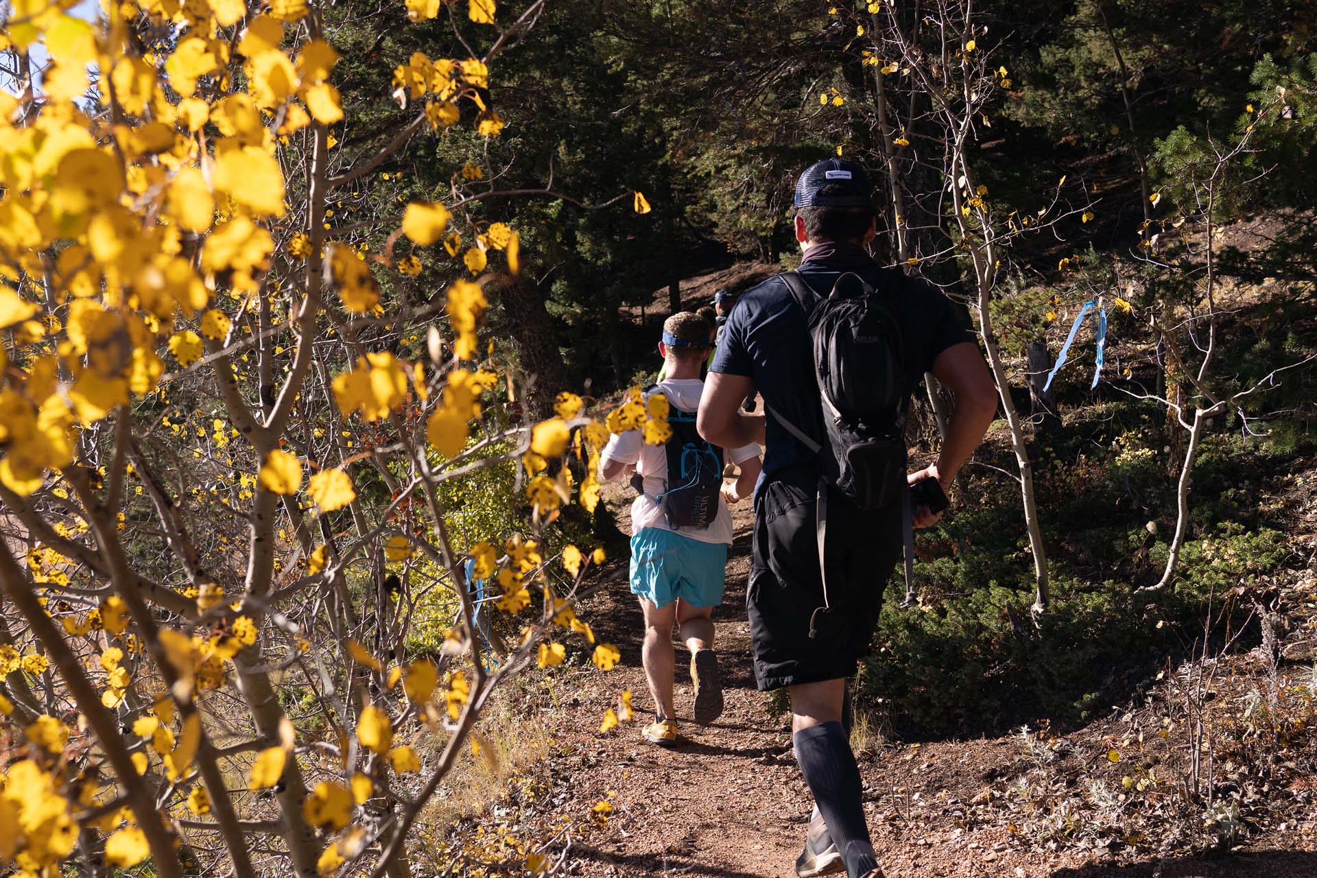 Colorado Cold Rush photo 1