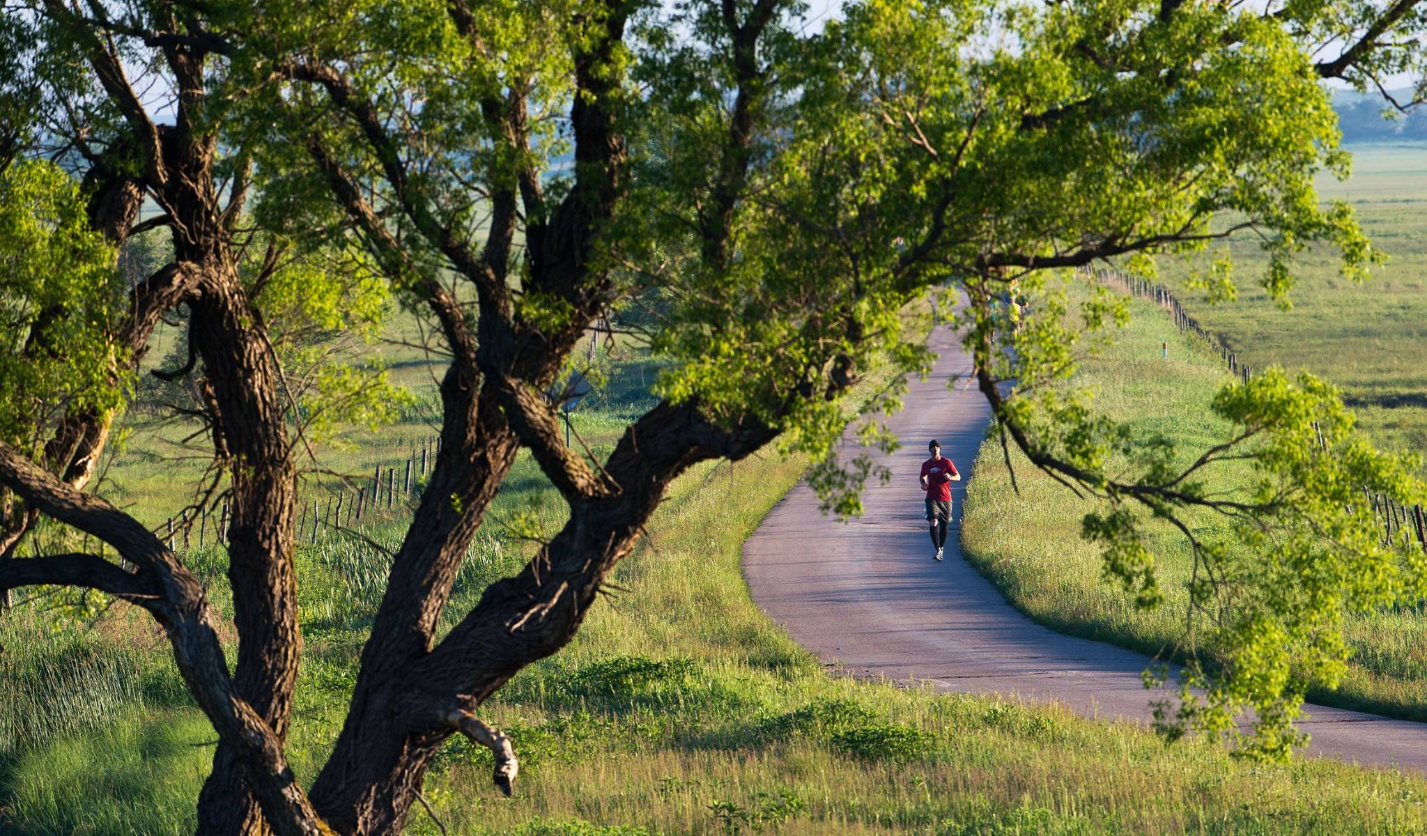 Sandhills Marathon photo 1