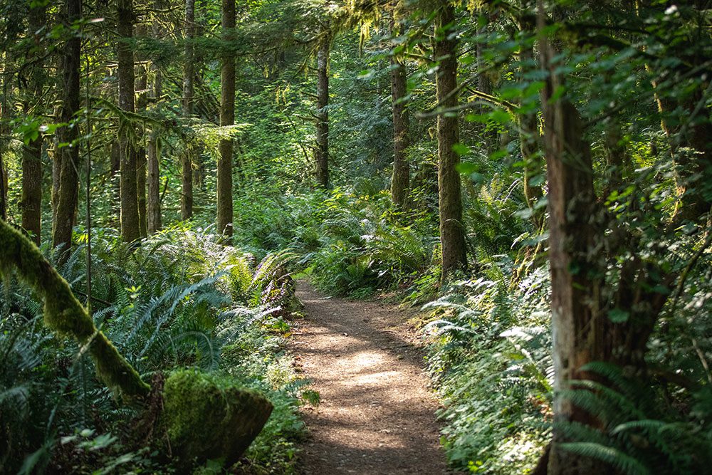 Tiger Peak Challenge photo 2