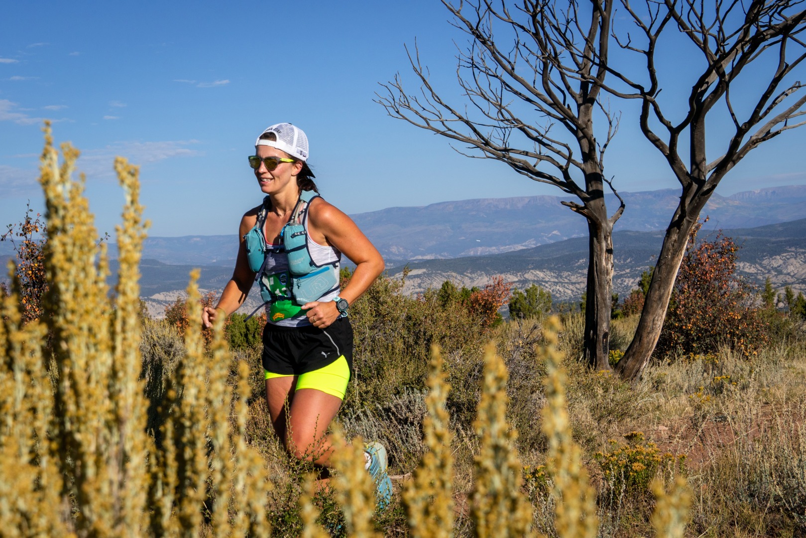 Enchanted Forest Trail Races photo 1