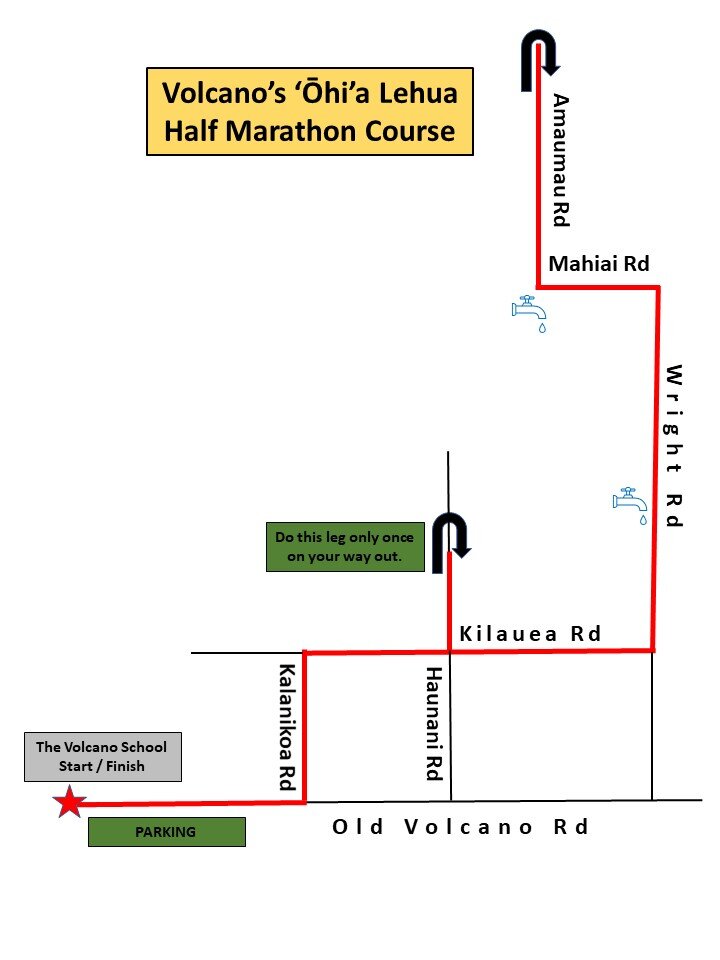 Volcano's 'Ohi'a Lehua Run photo 9