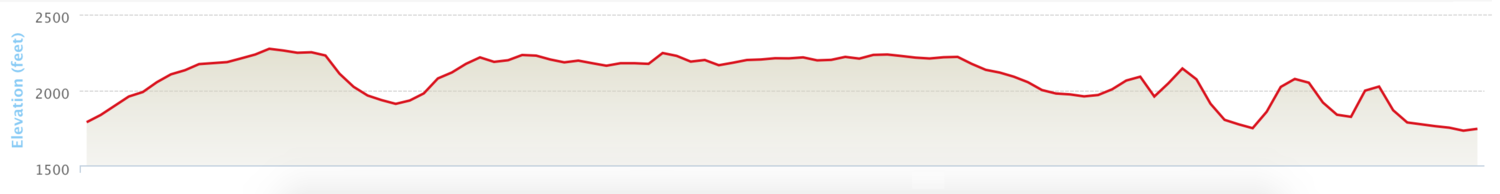 Marilla Trail Race photo 6