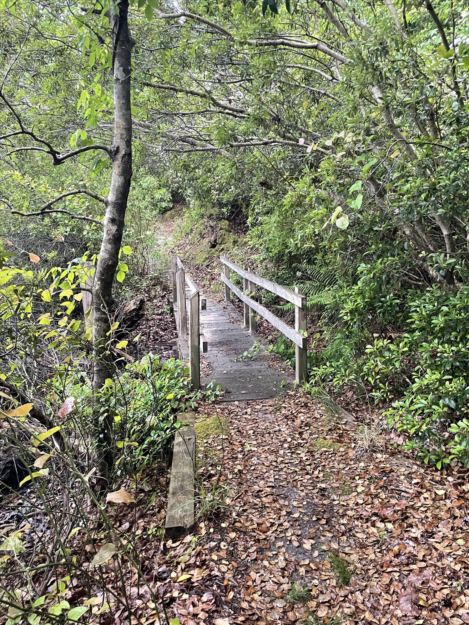 Taskinas Creek Half Marathon photo 5