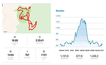 Twisted Ankle Trail Race photo 1