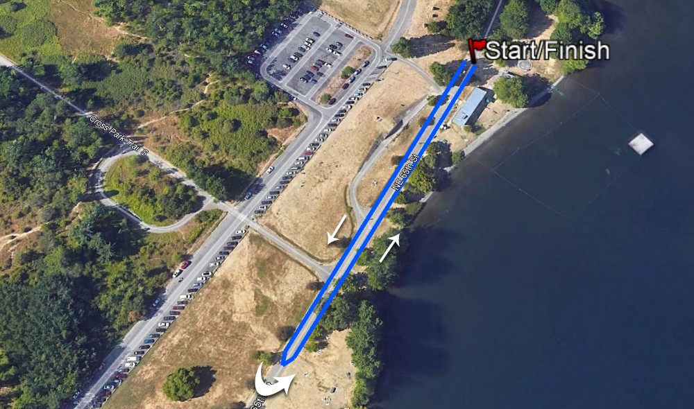 Solstice Run photo 5