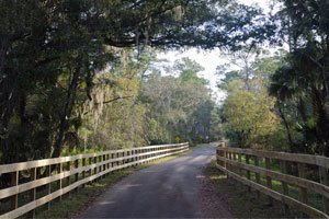 AdventHealth Presents the Central Florida Legends Marathon, Half Marathon and 5K photo 6