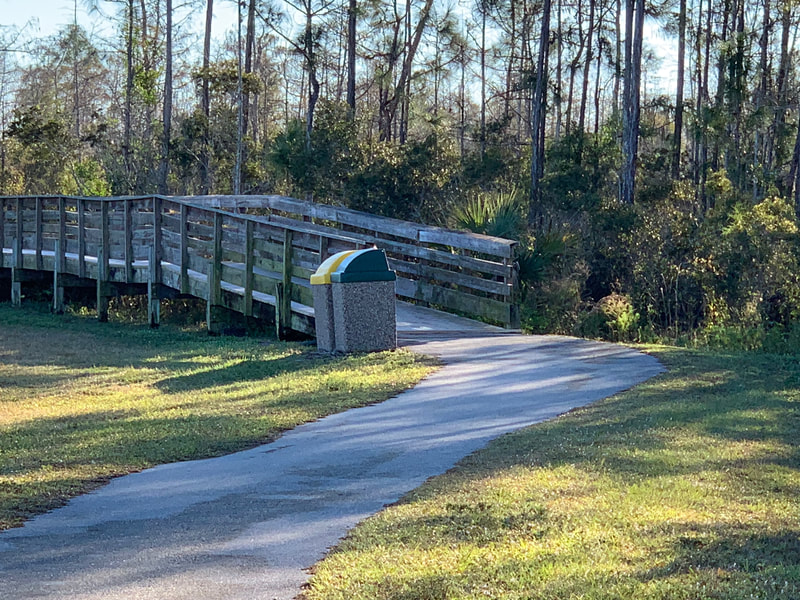 Naples Paradise Coast Half Marathon photo 2