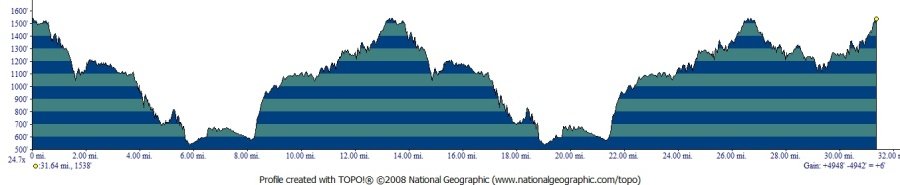 Redwood (Summer) Trail Run photo 6