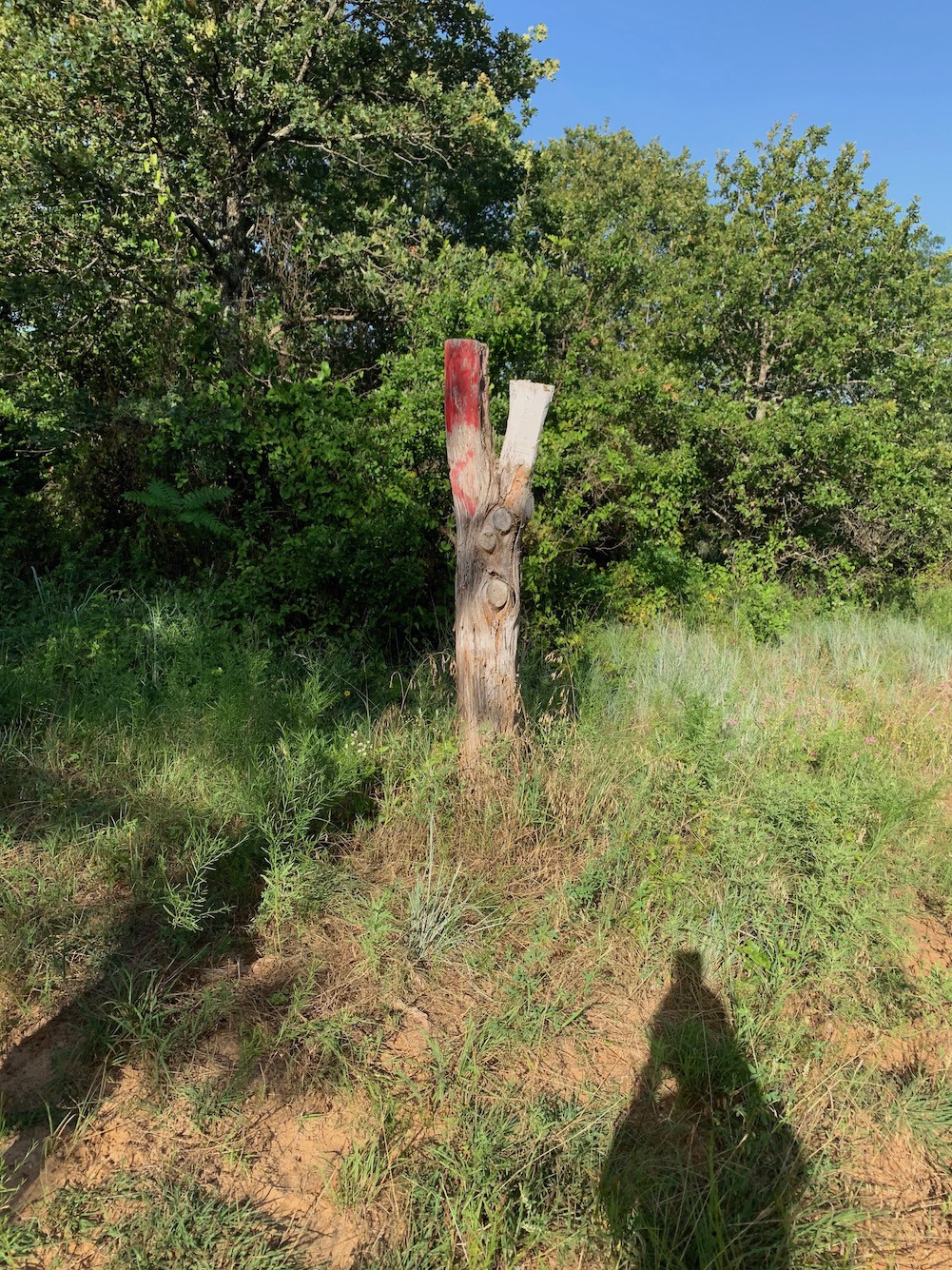 Grasslands Trail Run photo 9