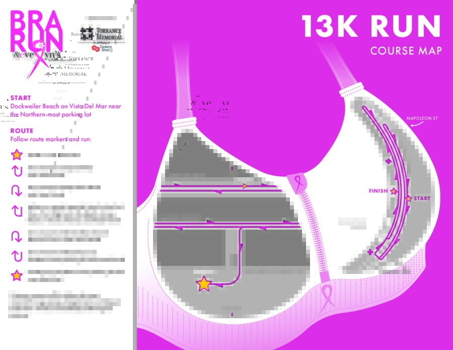 Pre Reg 2027 Torrance Memorial Medical Center, BRA Run, Los Angeles photo 2