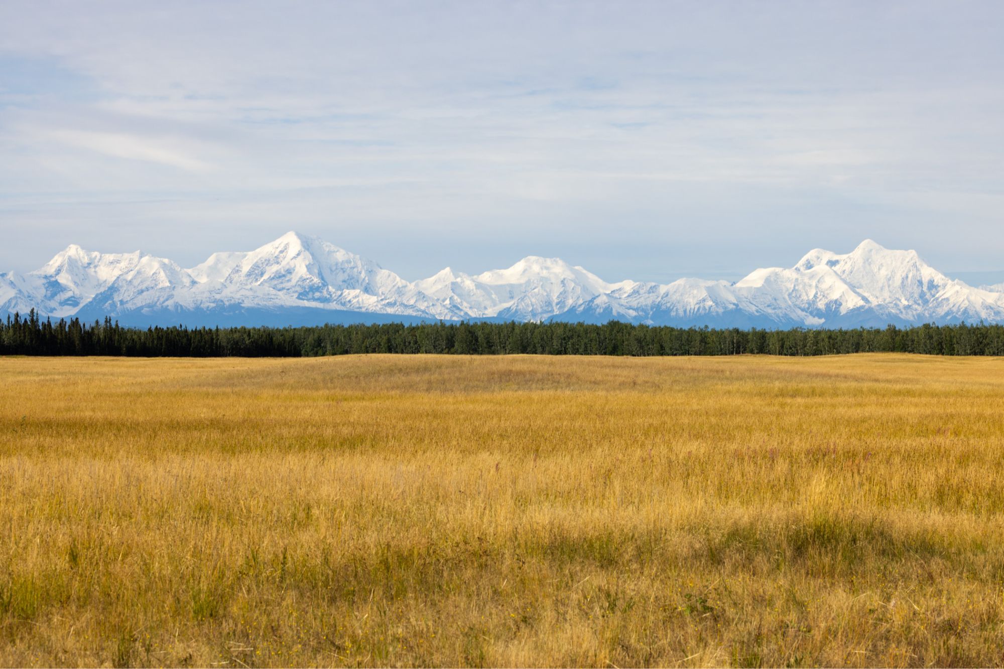Delta Junction Barley Half Marathon photo 4