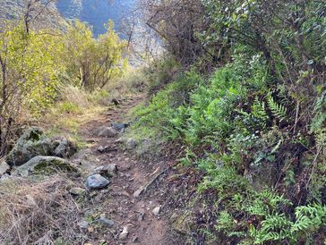 Saddleback Marathon photo 5