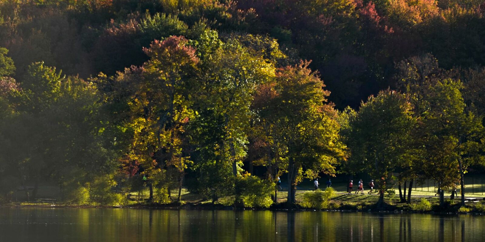 Sri Chinmoy Half-Marathon photo 7