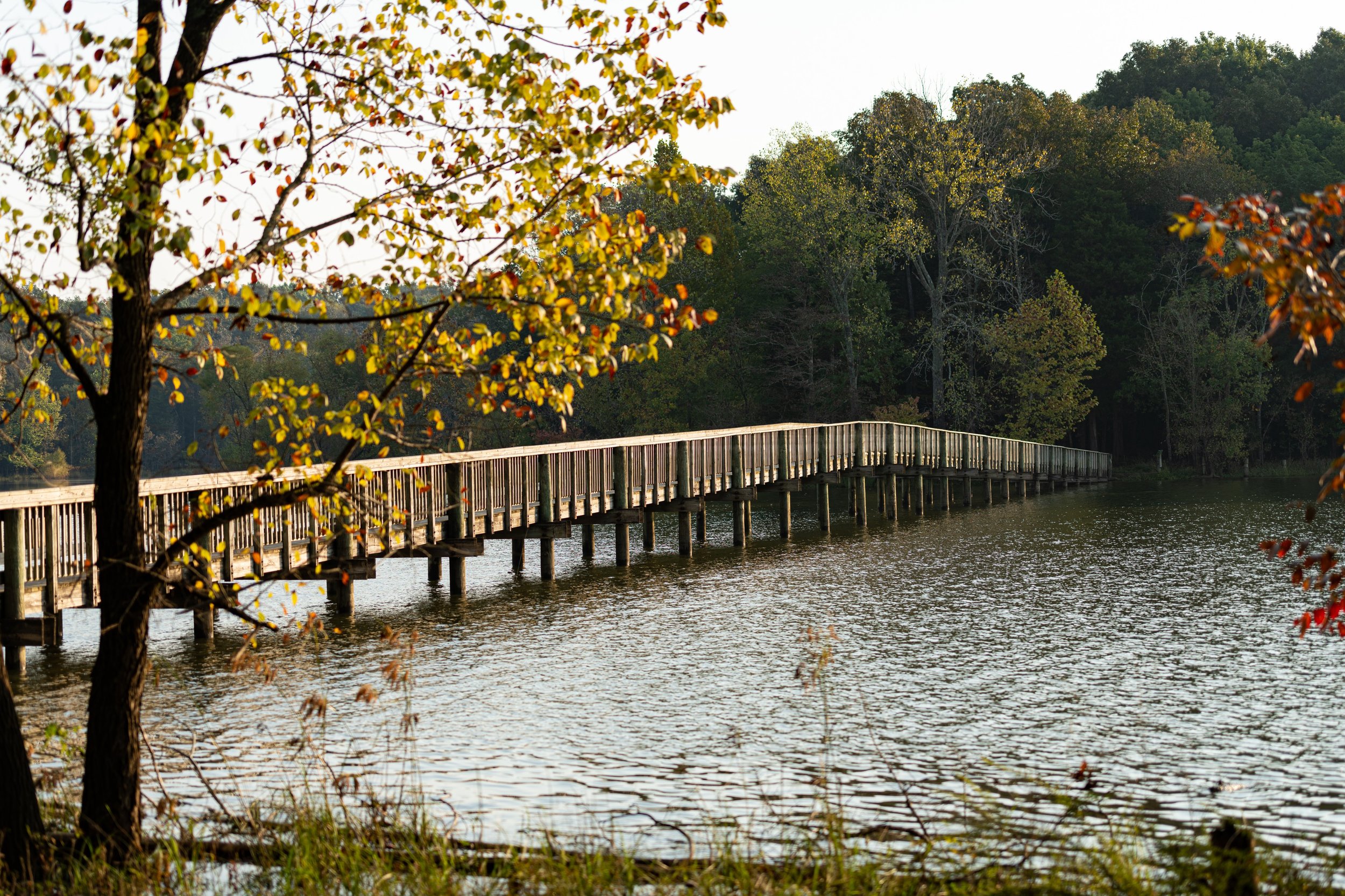 Long Hunter Trail Runs photo 6