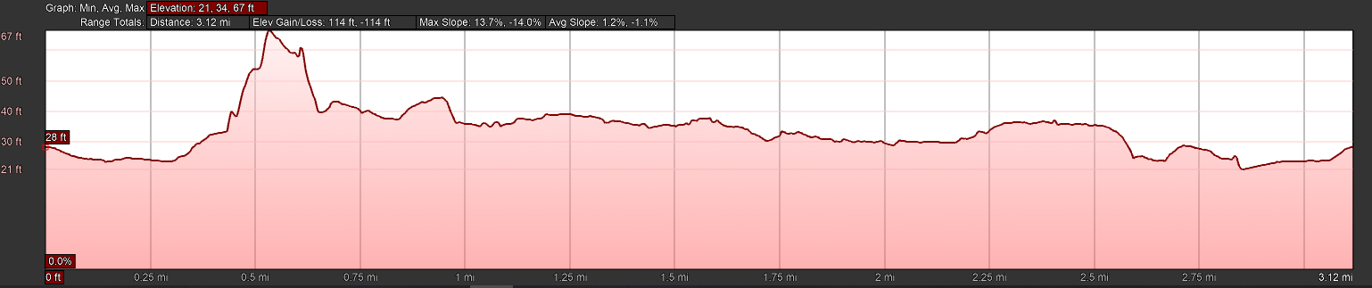 Solstice Run photo 10