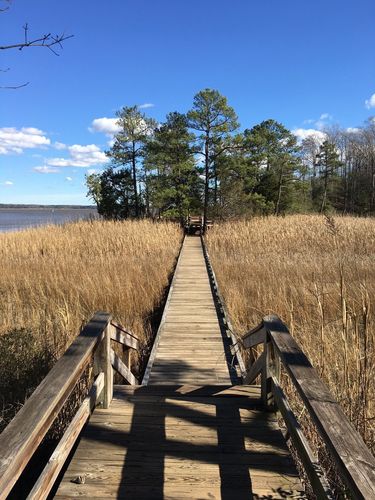 Taskinas Creek Half Marathon photo 4