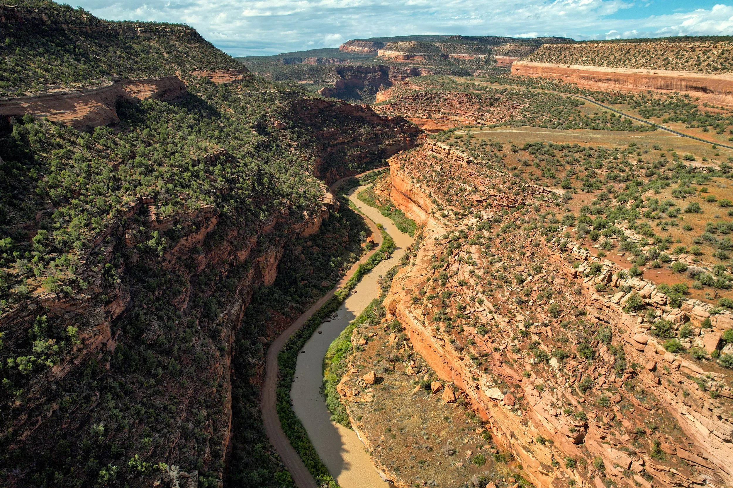 Deep Creek Trail Half Marathon photo 6