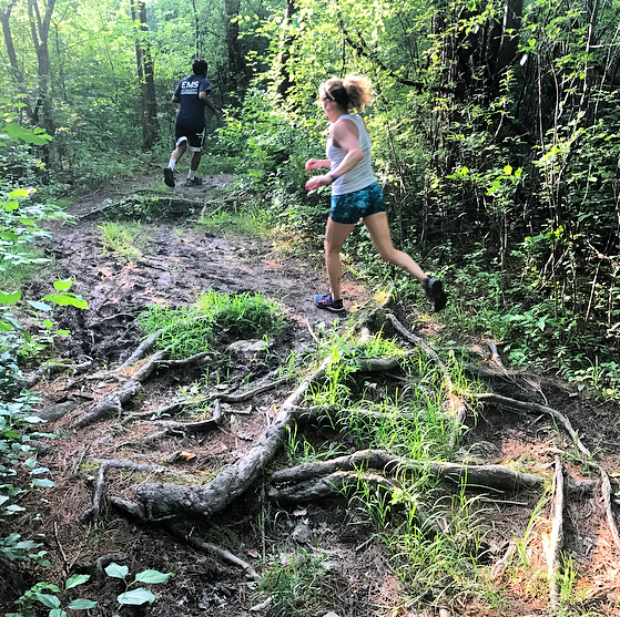 Thacher Park Trail Running Festival photo 2