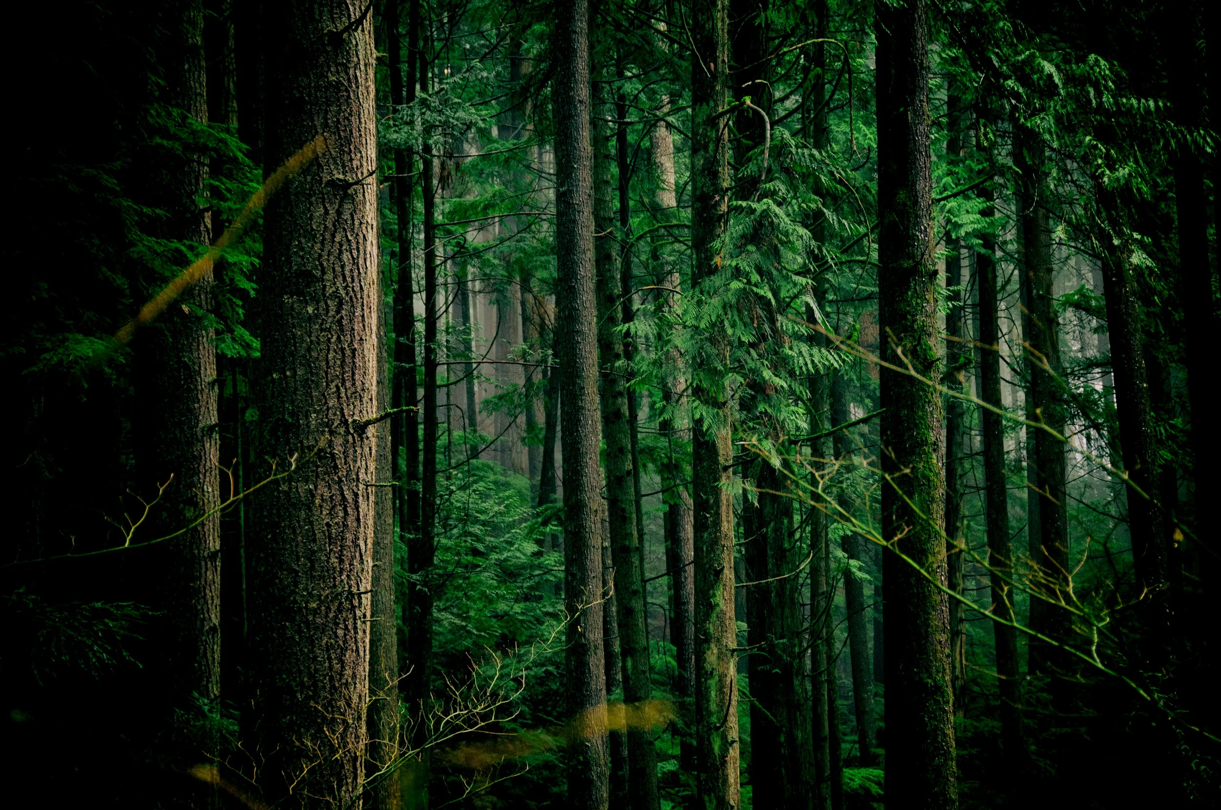 Beat the Blerch photo 4