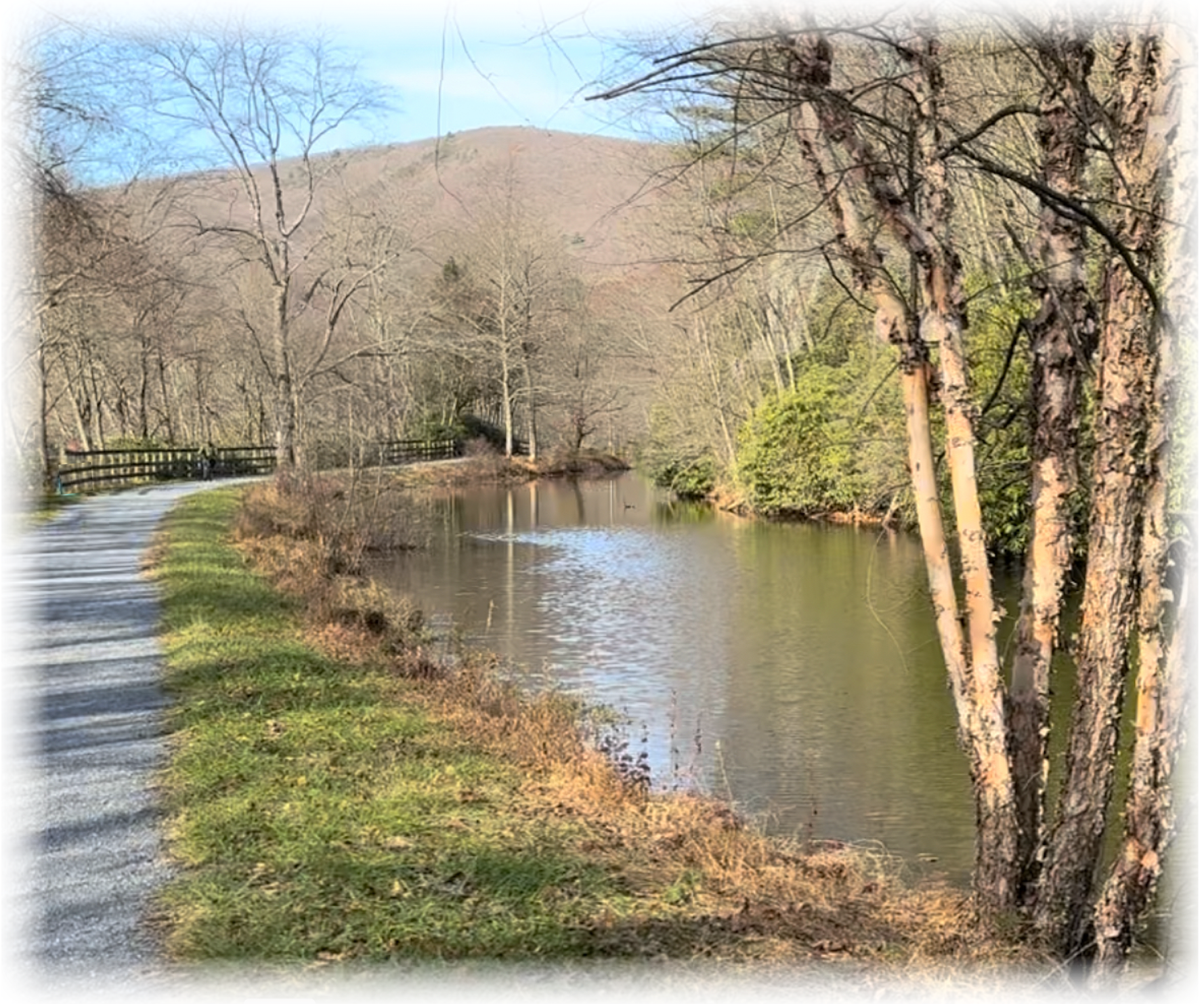 WICKED FAST MARATHON & HALF MARATHON SAN DIEGO photo 9