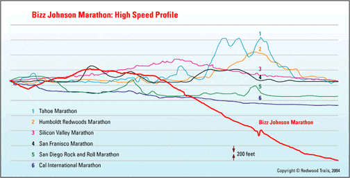 Bizz Johnson photo 7