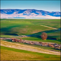 Northwest Series - Day 2 OR photo 5