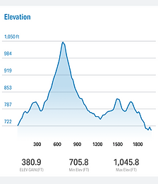 Twisted Ankle Trail Race photo 3