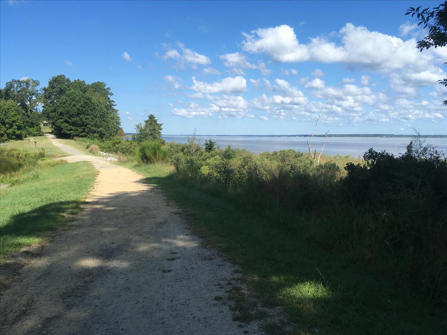 Taskinas Creek Half Marathon photo 7