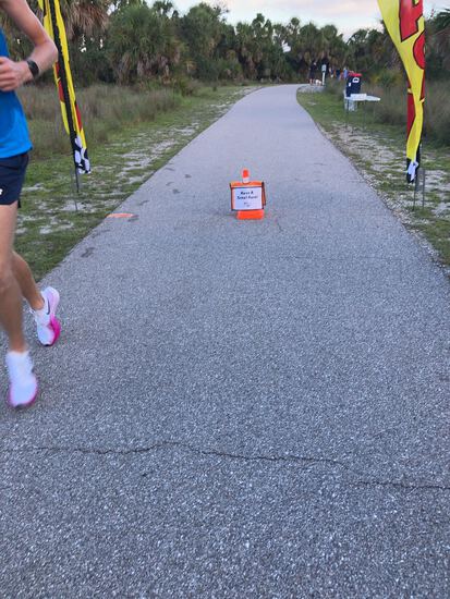Eagle 5K, 10K, & 13.1M at Venice, FL (27) photo 1