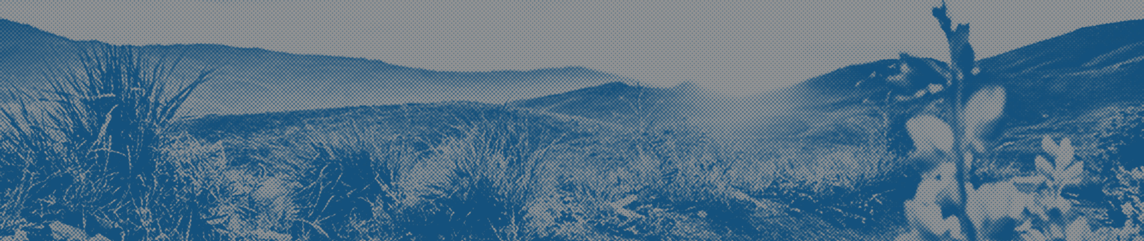 Silver State 50-mile and 50K Endurance Runs photo 8