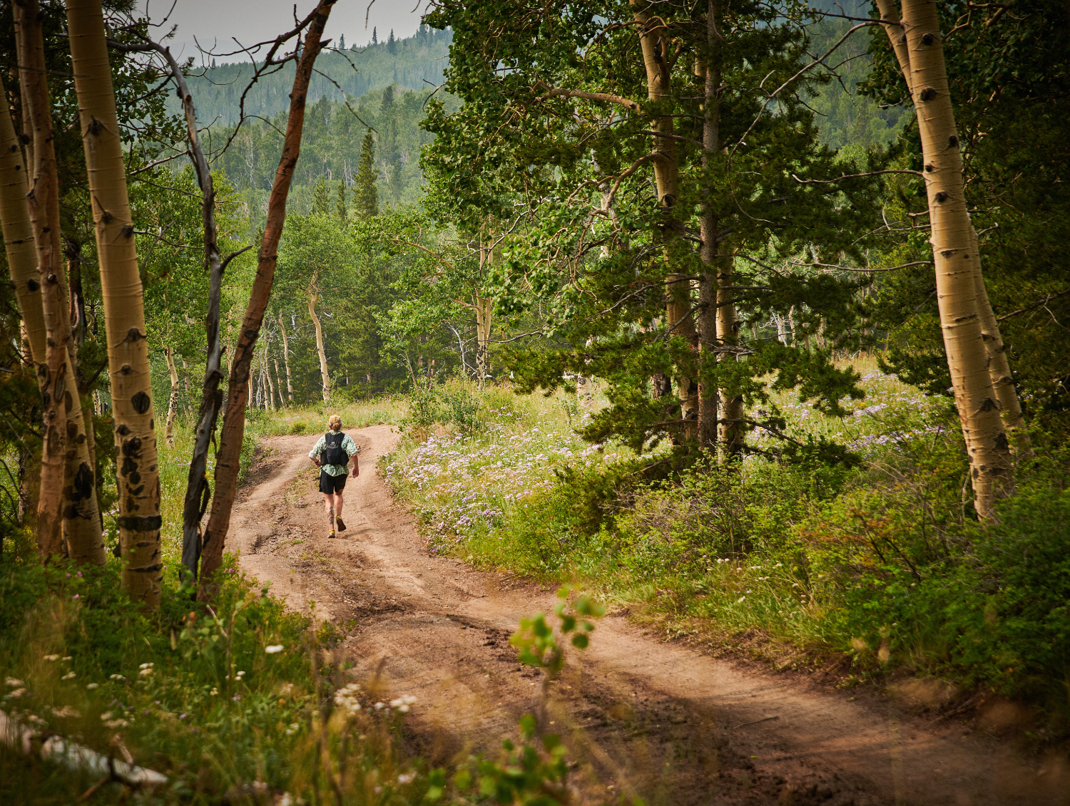 Sheep Mountain Trail Runs photo 3