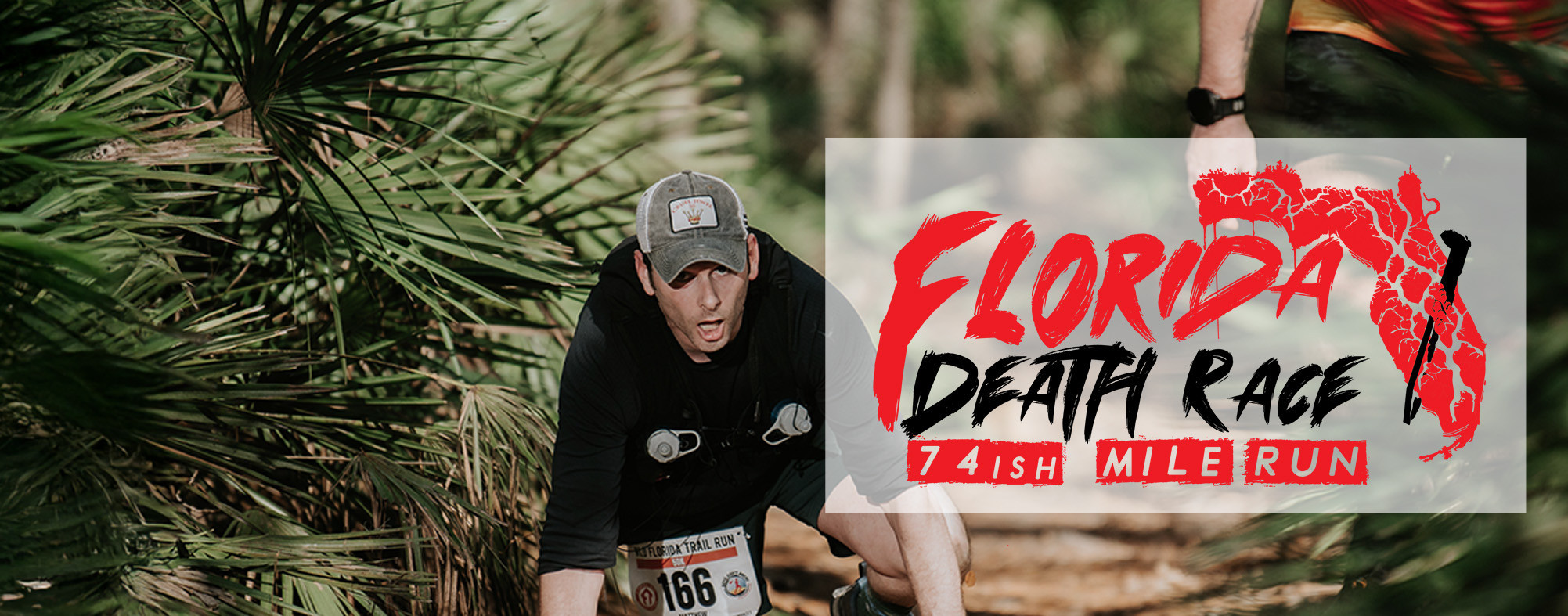 Helen Holiday Trail photo 6