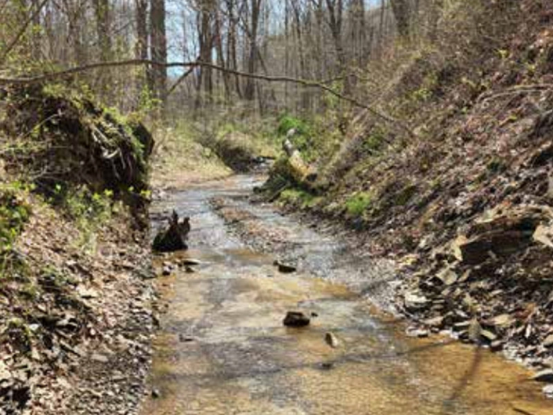 Buckeye Trail Blue Blaze Festival - Half Marathon, 10K, 5K Run, Hike and Backpack photo 6
